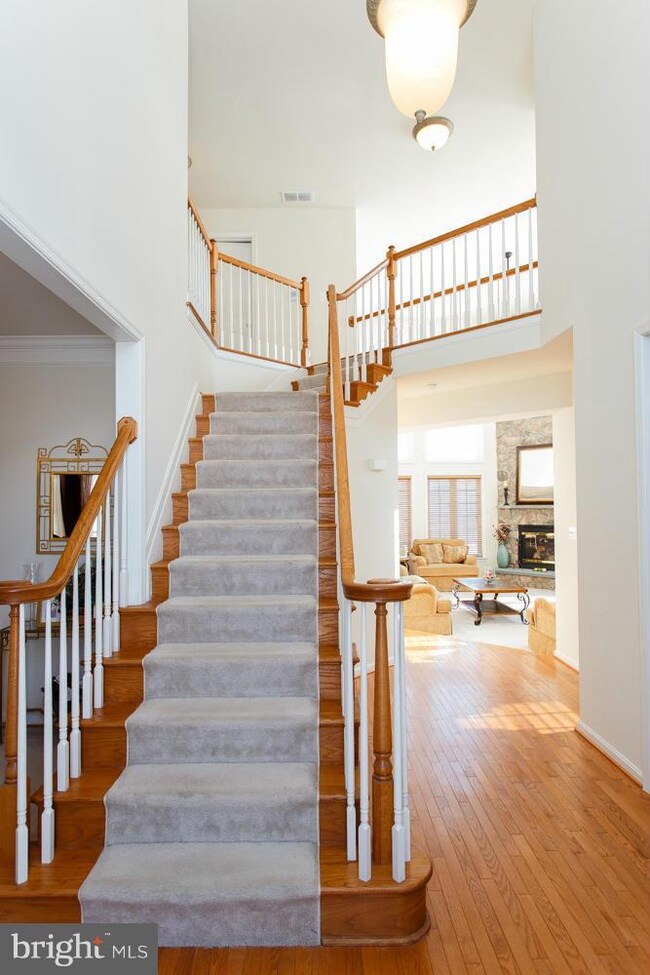 3003 Edrich Way, Randallstown, MD 21133 - photo 3