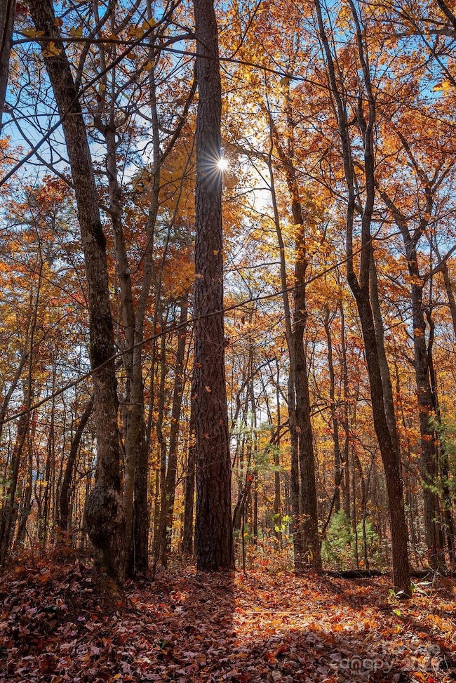 TBD Old Toxaway Rd, Brevard, NC 28712 - photo 6