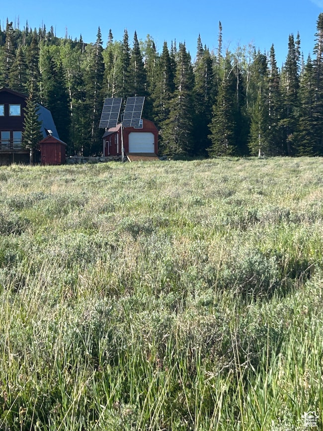 View of yard featuring a view of trees and an outbuilding