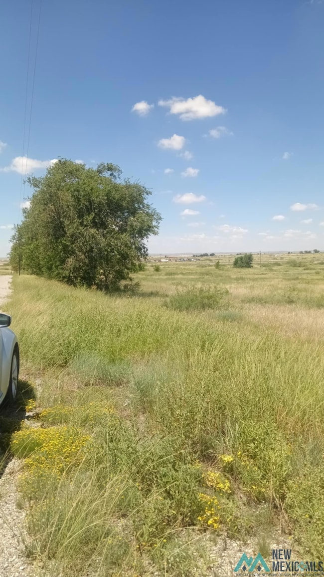 000 Marion Richards Rd, Roswell, NM 88201 - photo 6