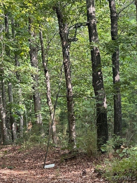 0 Ballsville Rd unit 2519909, Powhatan, VA 23139 - photo 6