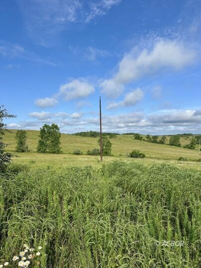 0 N Side Potts Chapel Rd, Hamden, OH 45634 - photo 6