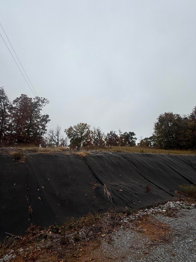 00 Haag Store Rd, Talbott, TN 37877 - photo 3