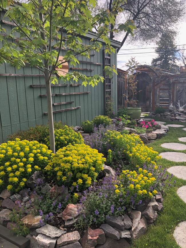 Garden Bed