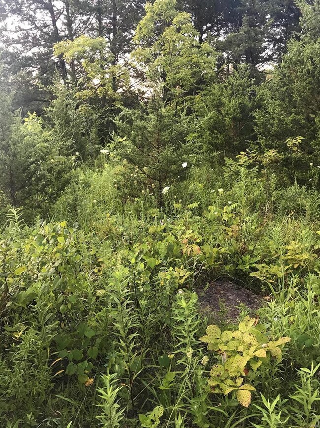 415 Cedar View Dr, Lonedell, MO 63060 - photo 6