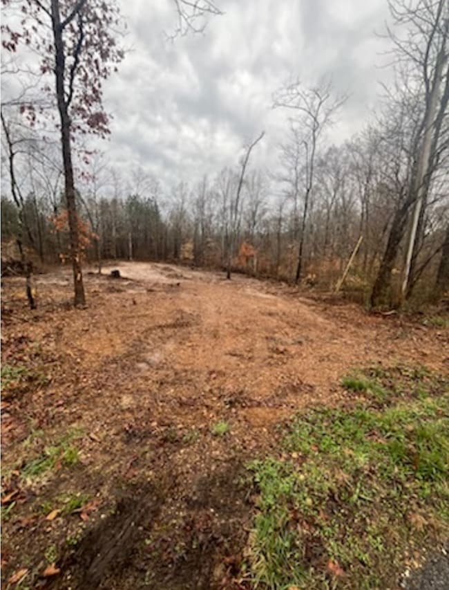 1 Forest Trail, Bumpus Mills, TN 37028 - photo 3