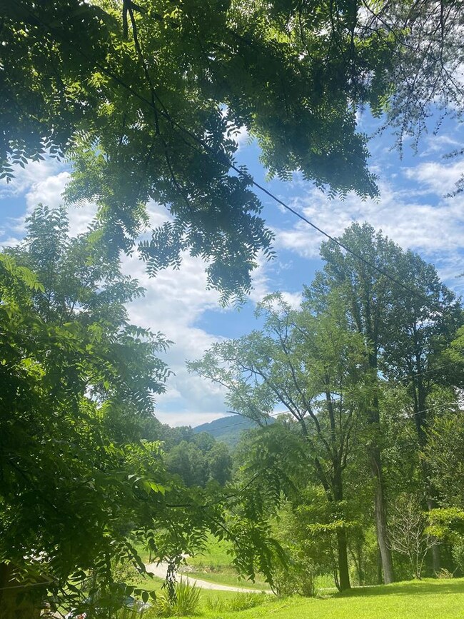 LOT22 Bryant Cove Rd, Blairsville, GA 30512 - photo 5