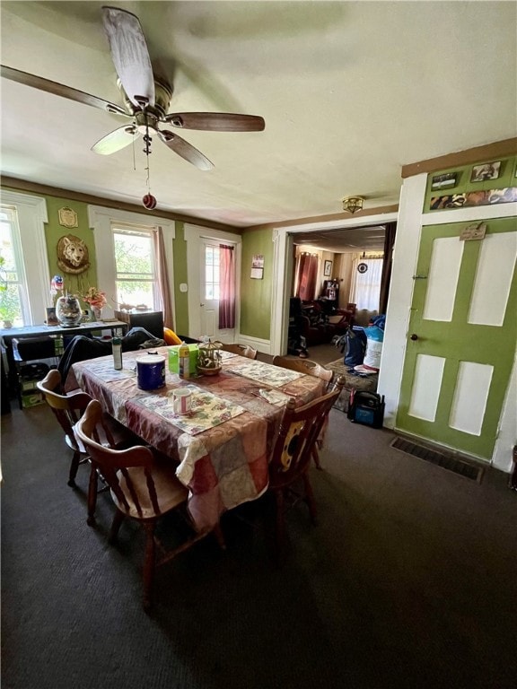 123 E Williams St, Waterloo, NY 13165 - photo 6