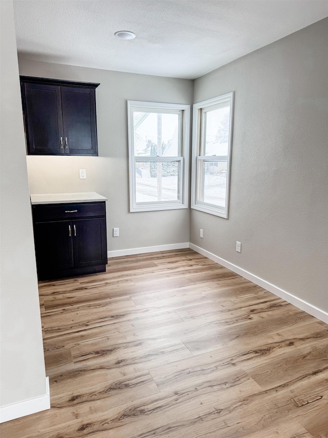 119 N Wells St, West Union, IA 52175 - photo 5