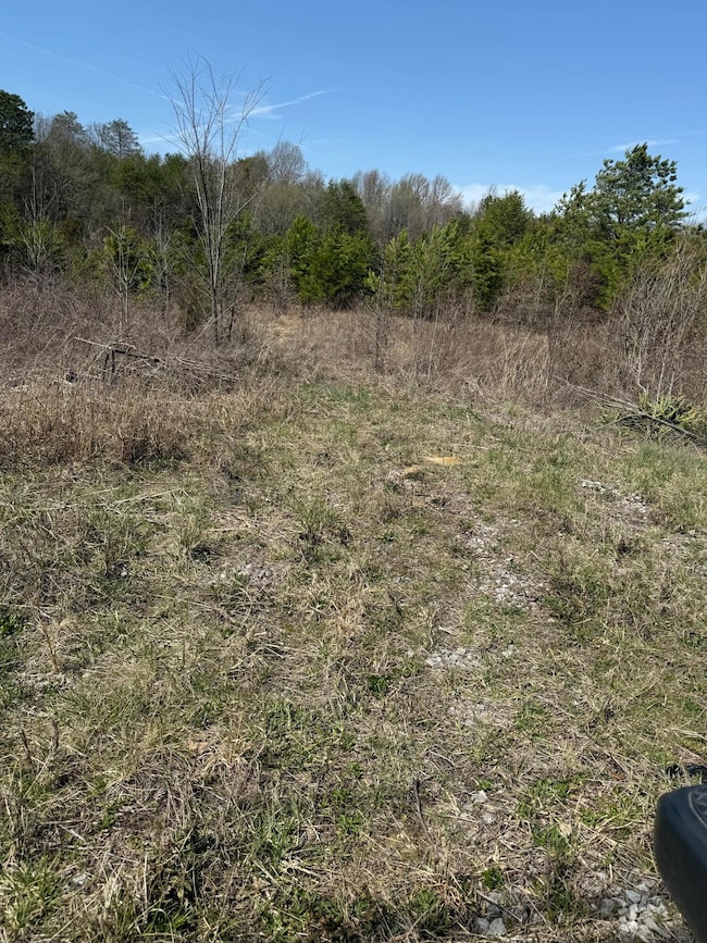 0 S Amhurst Place unit RTC3051683, Englewood, TN 37329 - photo 3