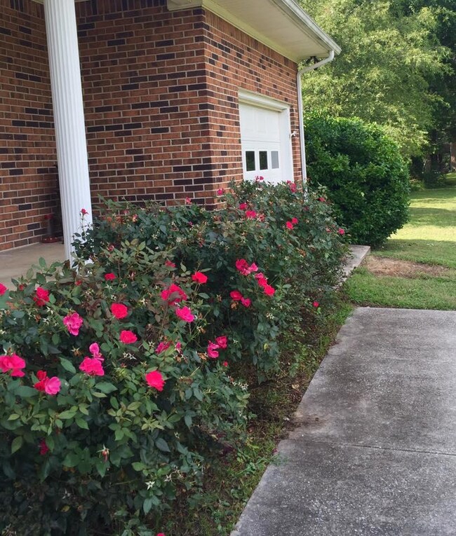 996 Bowling Alley Rd, Manchester, TN 37355 - photo 3