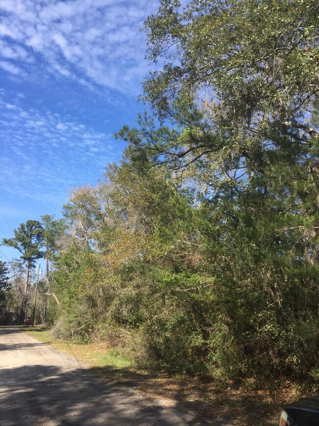 Piney Point Rd and Horseshoe LN