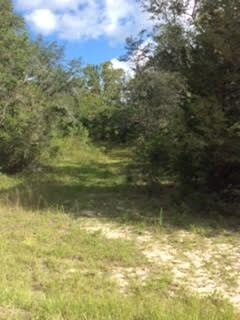 18510 E Royal Oak Dr unit 1, Perry, FL 32348 - photo 3