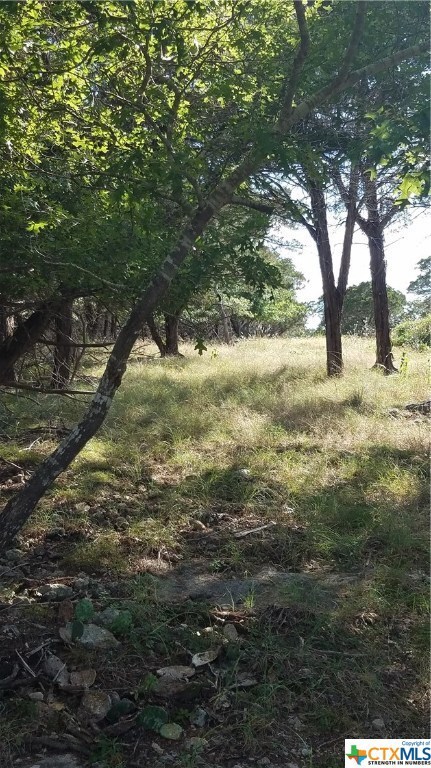 5561 Cliff Ln, Temple, TX 76502 - photo 4