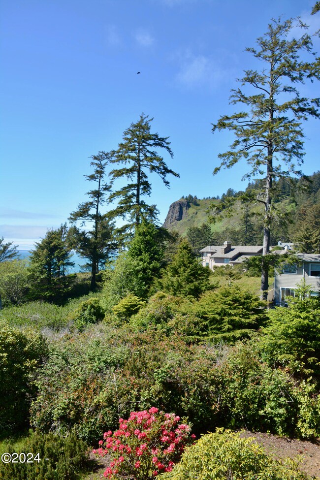 View from deck