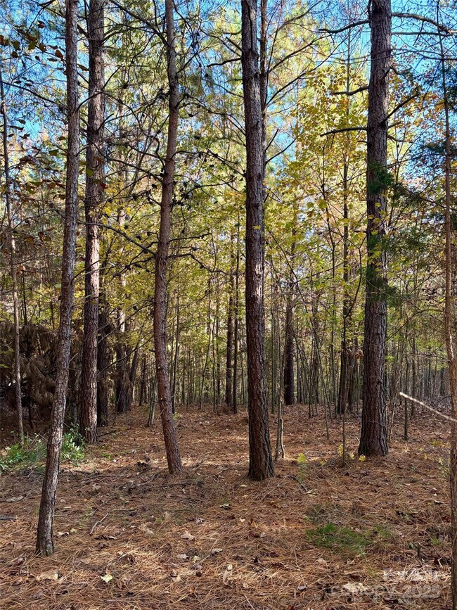 0 Cross Creek Dr unit 261 CAR4231323, Rutherfordton, NC 28139 - photo 2