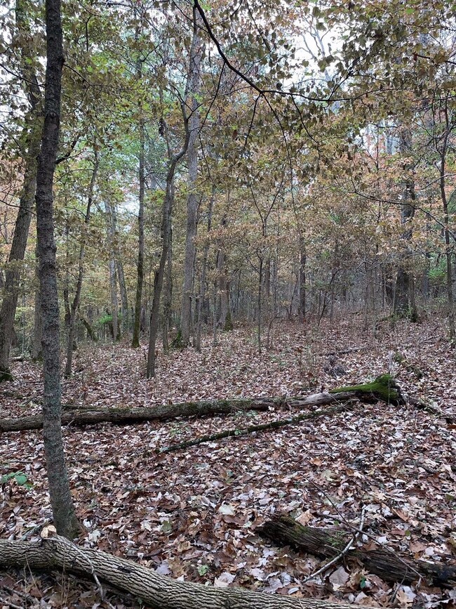 1499 Hifner Rd, Versailles, KY 40383 - photo 4