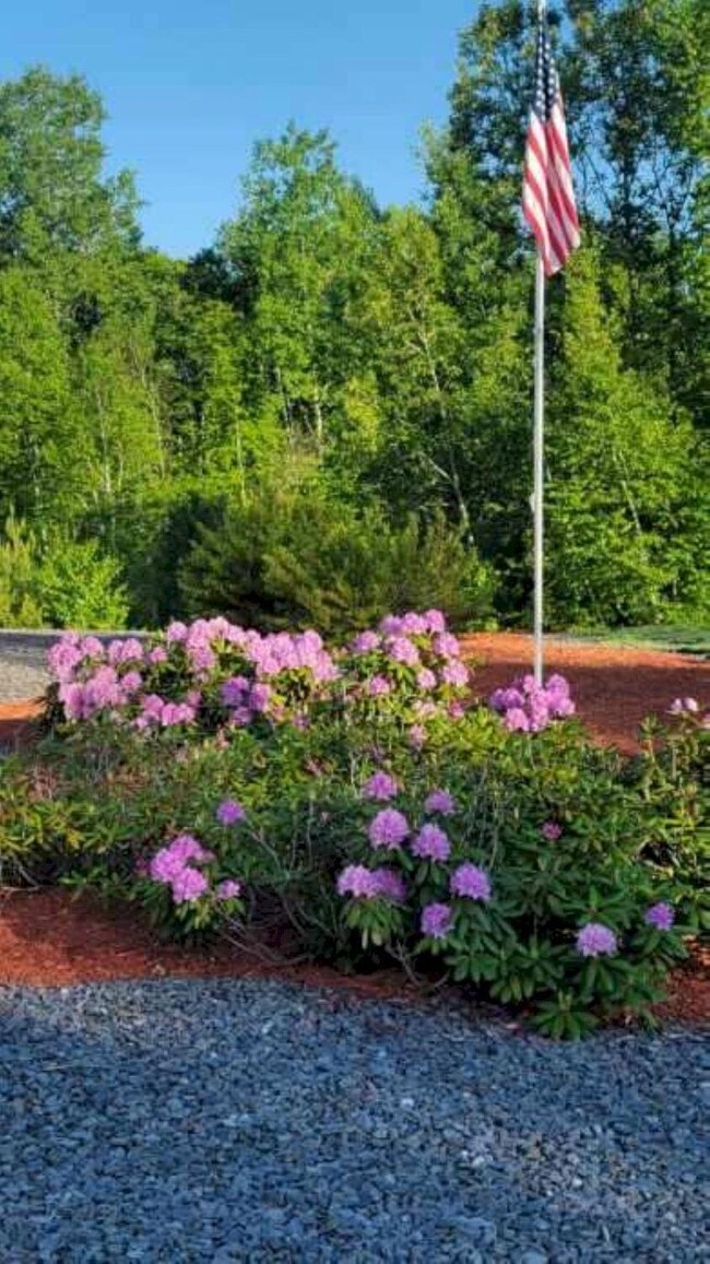 25 Old Bingham Rd, Solon, ME 04979 - photo 5