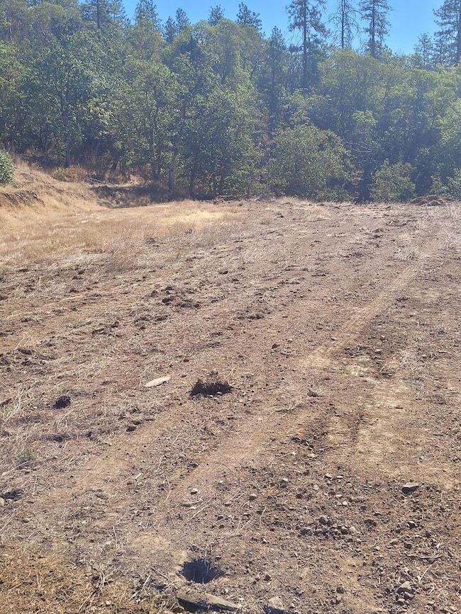 4862 N River Rd, Gold Hill, OR 97525 - photo 7