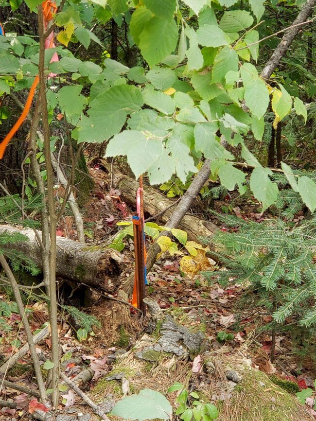 M20 L26C&D Four Mile Square Rd, Anson, ME 04911 - photo 7