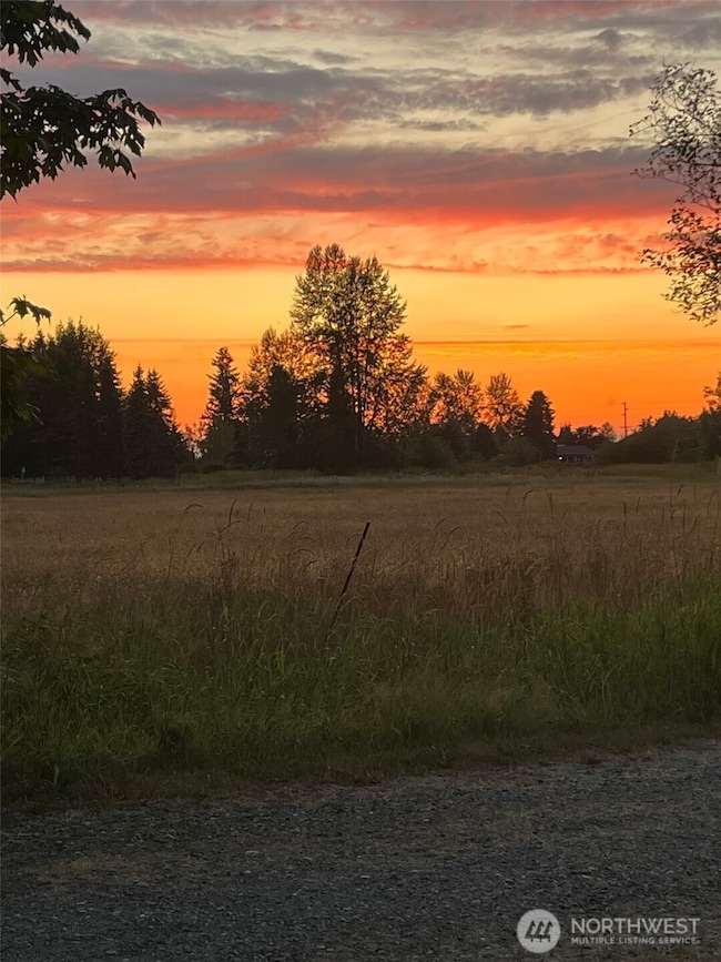 42008 254th Ave SE, Enumclaw, WA 98022 - photo 4