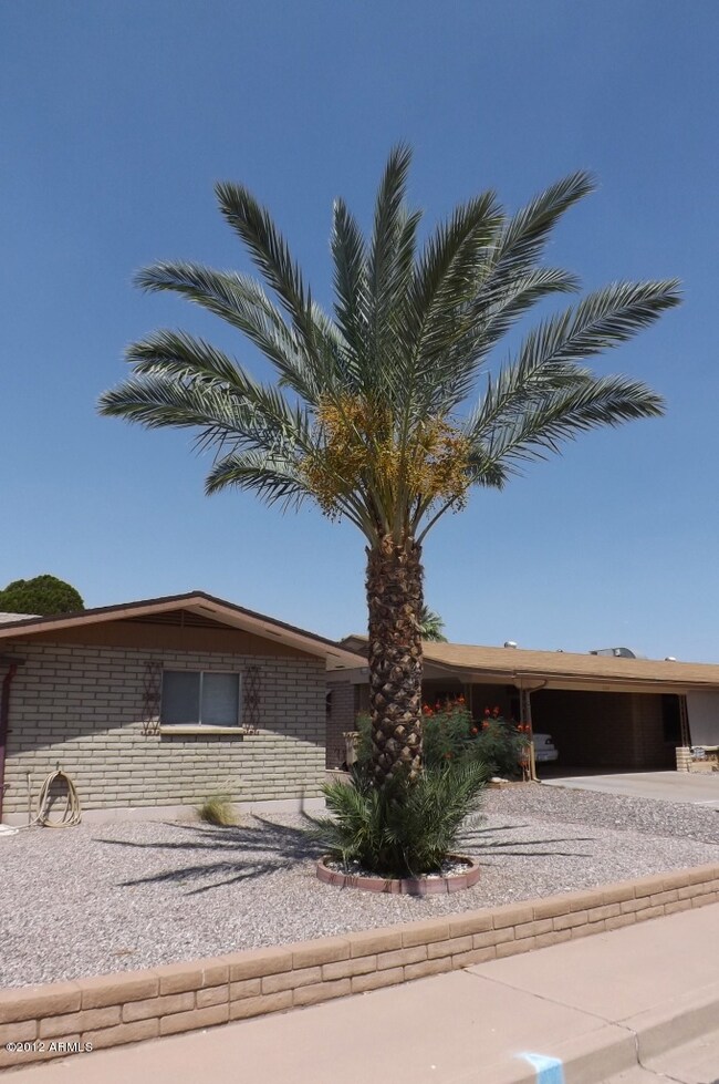 PALM