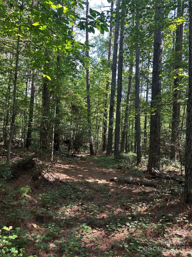 6020 Plantation Pointe Dr unit 91, Granite Falls, NC 28630 - photo 3