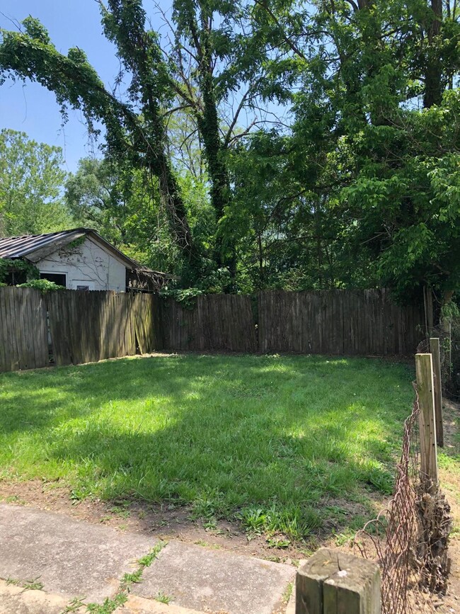 Rear Yard View