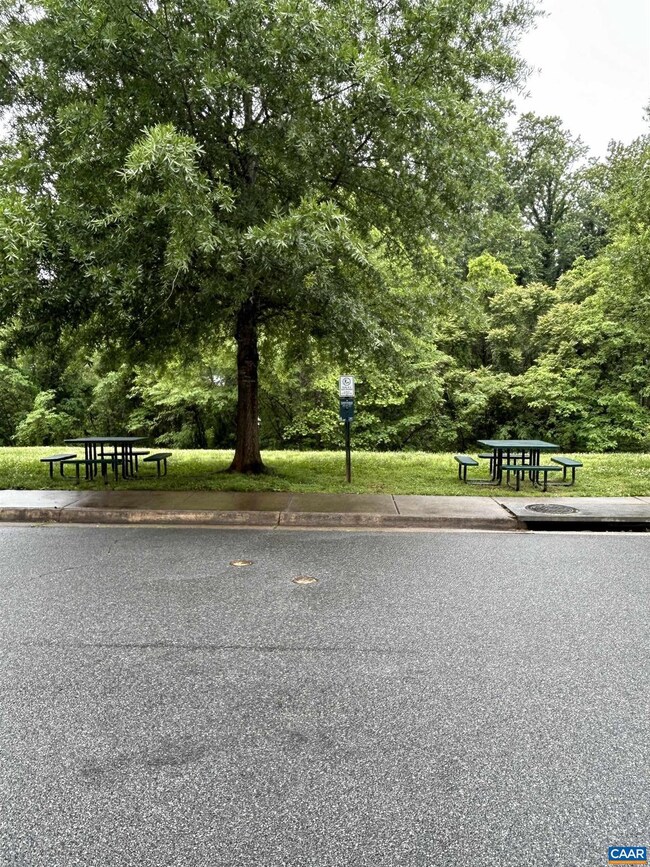 913 Bing Ln, Charlottesville, VA 22903 - photo 4