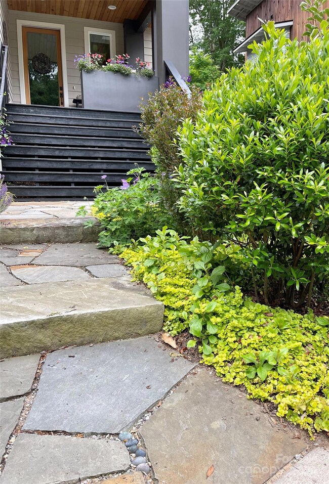 Vibrancy Welcomes You Home