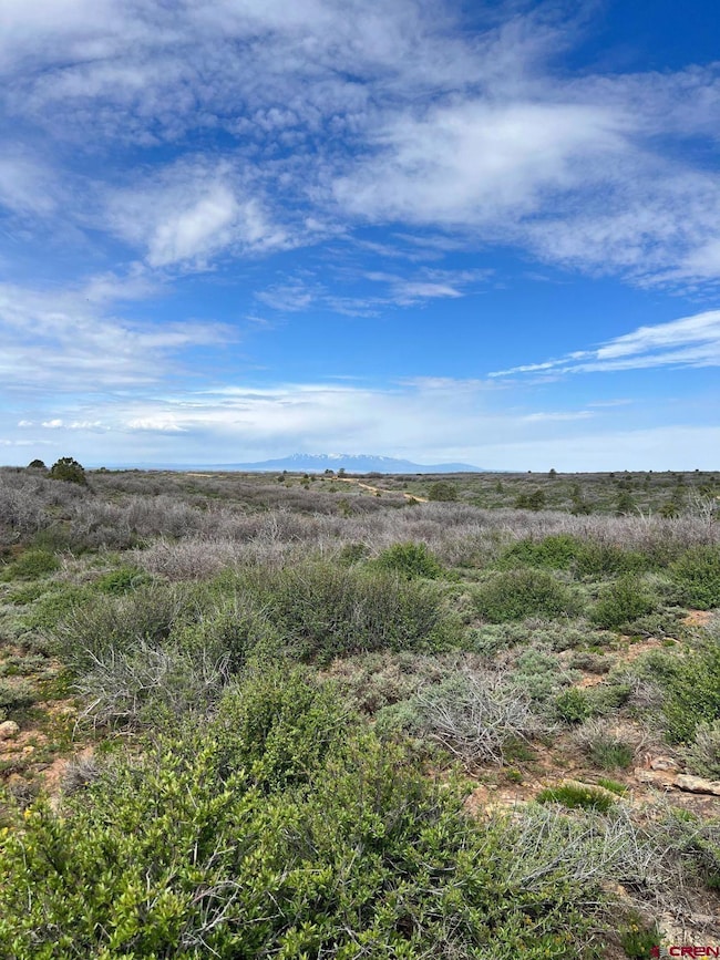 3 County Road C, Dove Creek, CO 81324 - photo 5