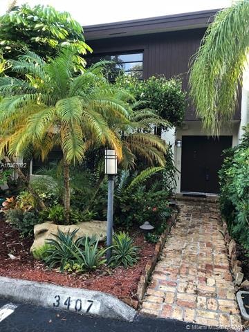 Front Yard