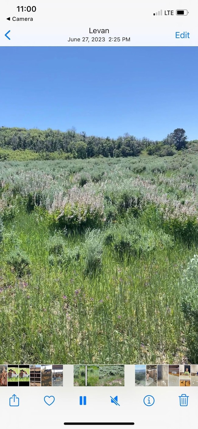 9888 Utah 28, Levan, UT 84639 - photo 2