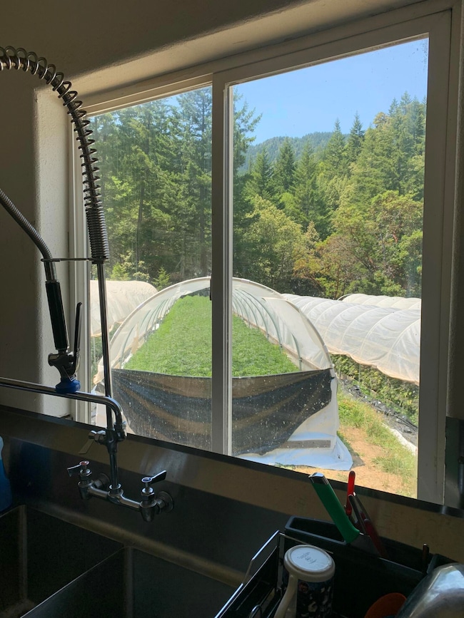 1010 Windy Ridge Ln, Garberville, CA 95542 - photo 7