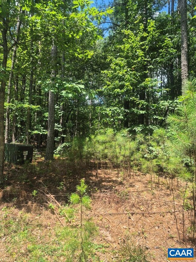 00 Hixburg Rd, Prospect, VA 23960 - photo 3