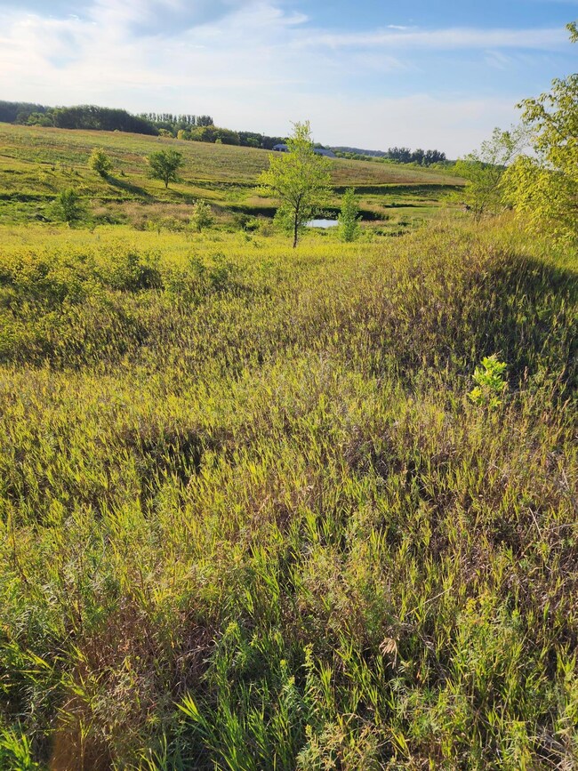 XXXX Country Estates Ct, Ida Township, MN 56308 - photo 4