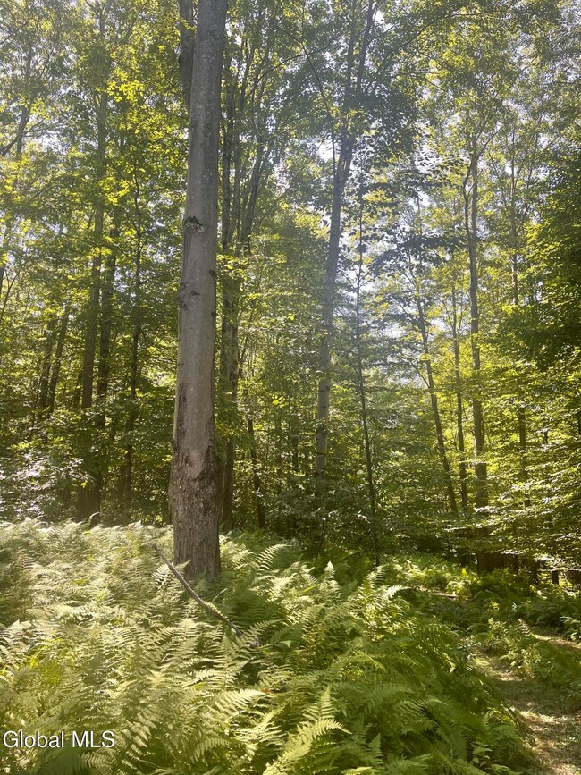 L4.15 New York 22, Berlin, NY 12022 - photo 6