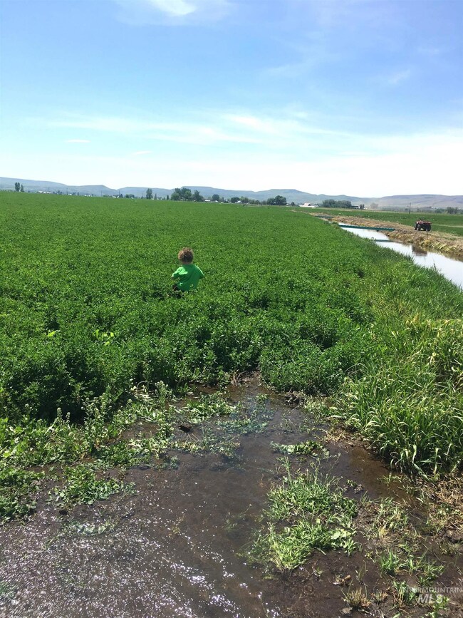 TBD Old Hwy, Midvale, ID 83645 - photo 6