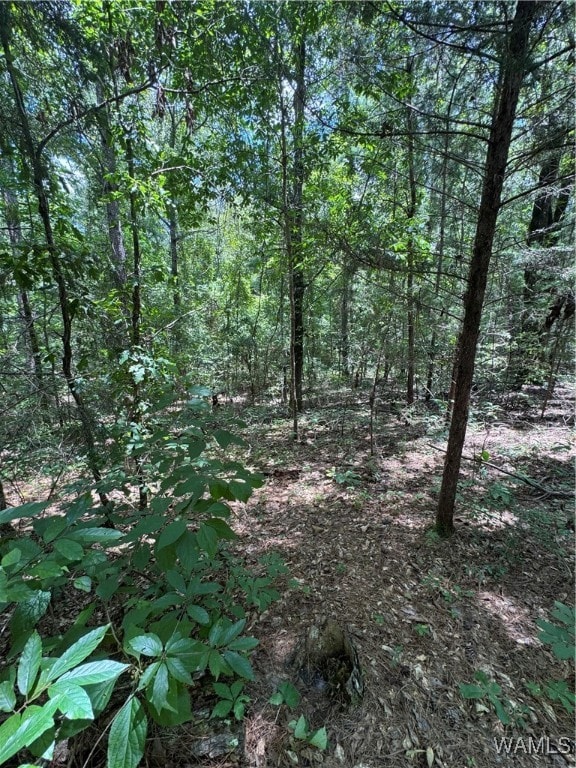 22 Cedar Ridge Dr, Northport, AL 35475 - photo 3