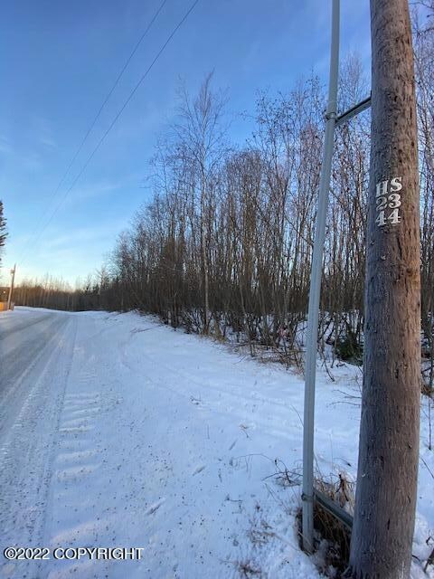 Lots Located Between Telephone Pole #2