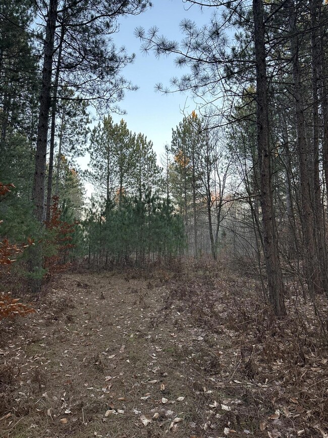 thumbnail_IMG_3299