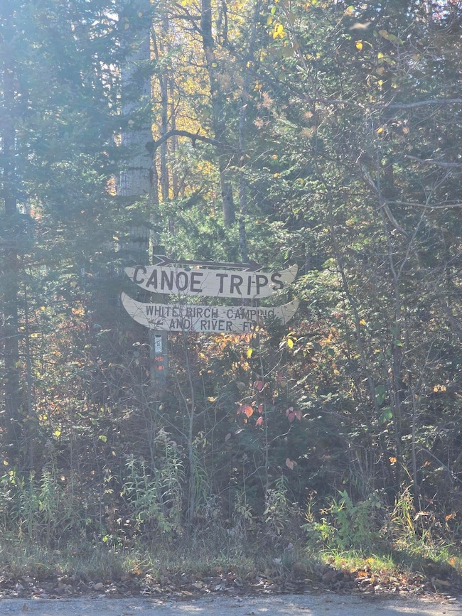 V/L E Cadillac Rd, Merritt, MI 49667 - photo 4