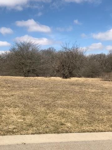 7369 English Oak Ln, Spring Grove, IL 60081 - photo 4