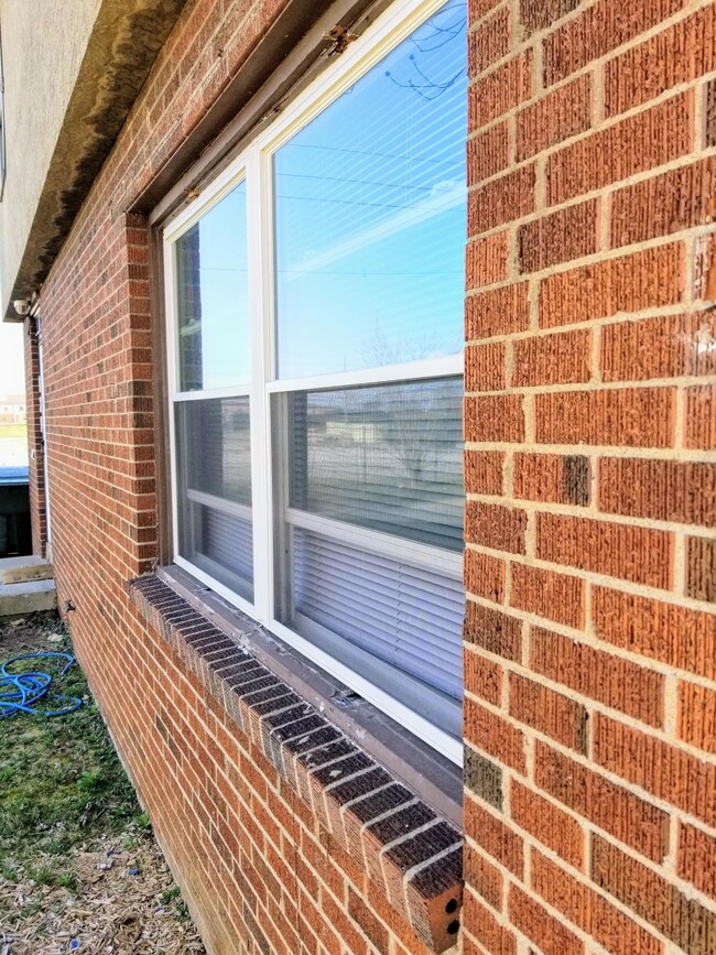 Windows
