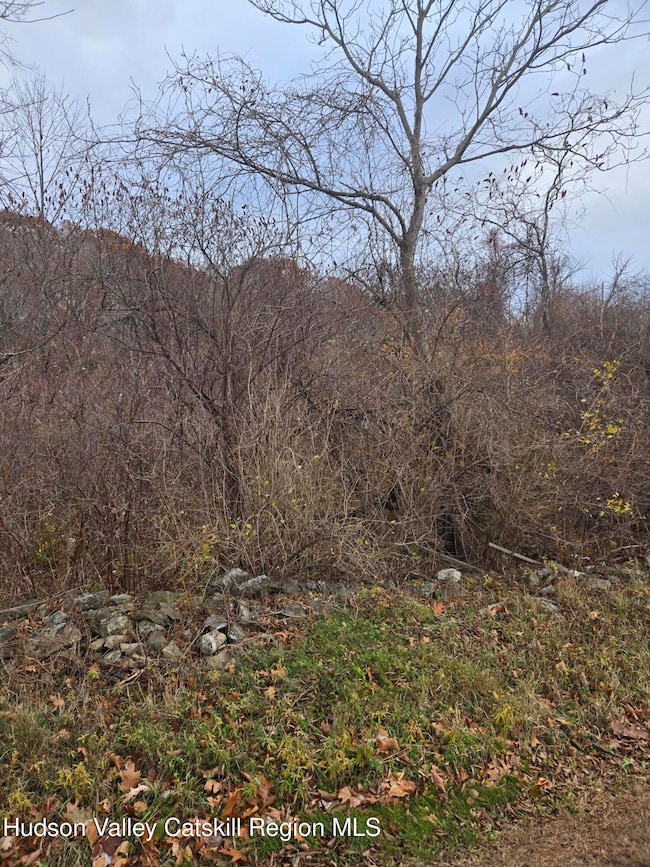 0 Farm Rd, Copake, NY 12516 - photo 4