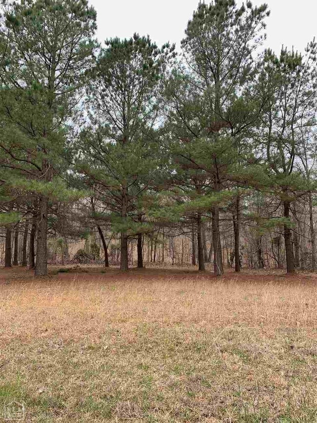 640 Greene 725 Rd, Paragould, AR 72450 - photo 6