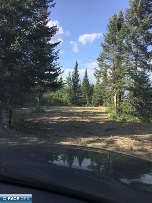 TBD Arkola Rd, Toivola, MN 55765 - photo 3