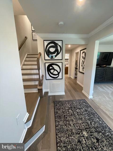 158 Bishop Way, Dublin, PA 18917 - photo 4