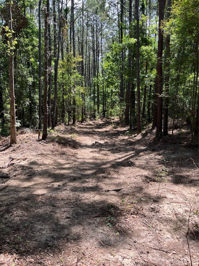 Hwy 1058 unit LotWP003, Kentwood, LA 70444 - photo 2