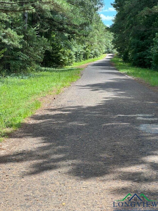 View of road with a view of trees
